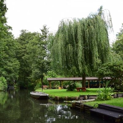 尊龙手机版下载